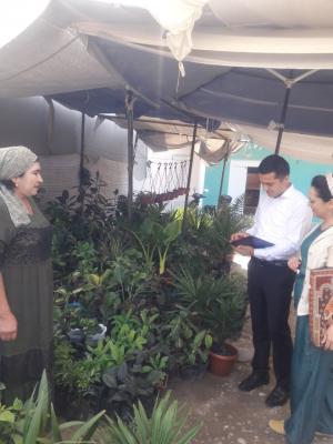 photo2022-10-1216-17-53