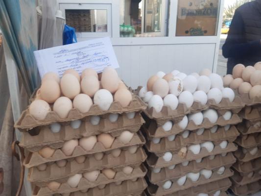 photo2022-10-1315-52-57