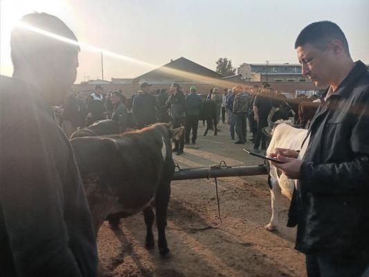 photo2022-10-1716-35-27