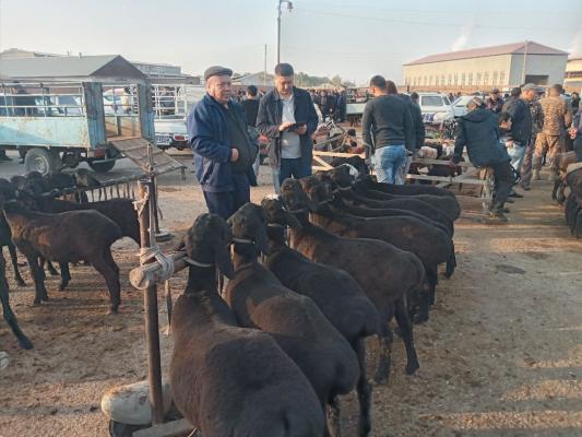 photo2022-10-1716-35-32