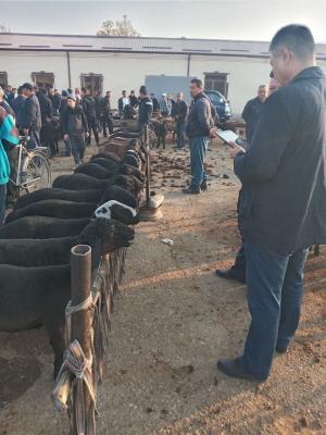 photo2022-10-1716-35-36