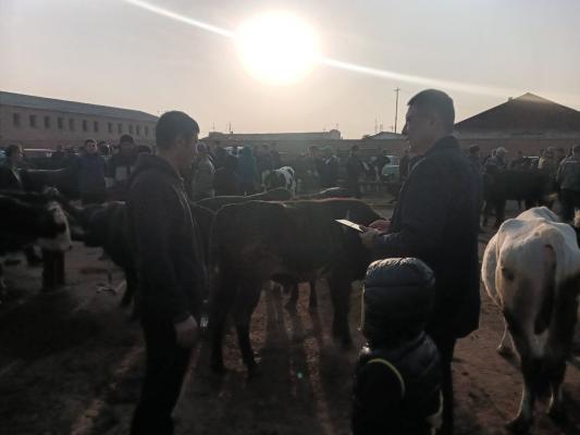 photo2022-10-1716-35-42