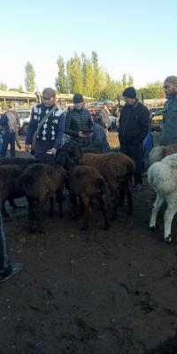 photo2022-10-2011-32-14