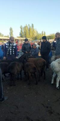 photo2022-10-2011-32-18