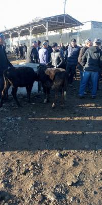 photo2022-10-2011-32-24