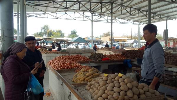 photo2022-10-2618-00-08