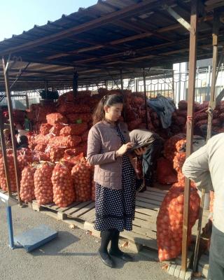 photo2022-10-2717-32-40