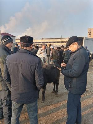 photo2022-11-1411-33-11