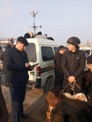 photo2022-11-1411-33-17