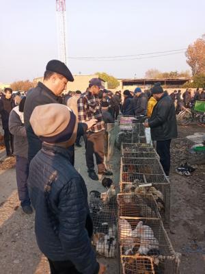 photo2022-11-1411-33-22