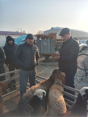 photo2022-11-1411-33-29