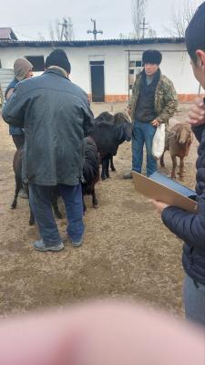 photo2022-11-1717-07-10