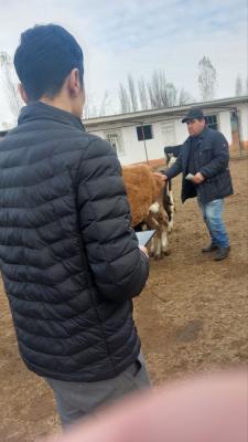 photo2022-11-1717-07-16