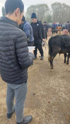 photo2022-11-1717-07-21