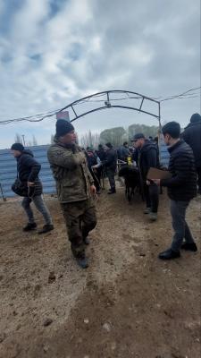 photo2022-11-1717-07-26