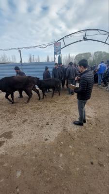 photo2022-11-1717-07-33