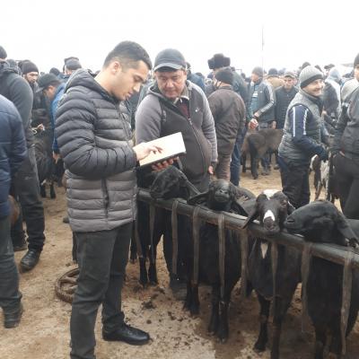 photo2022-11-1816-48-57