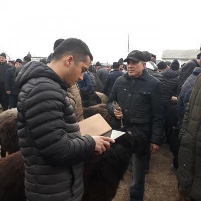 photo2022-11-1816-49-03