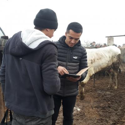 photo2022-11-1816-49-17