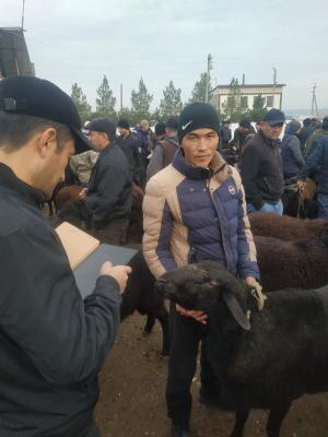 photo2022-11-2214-46-17