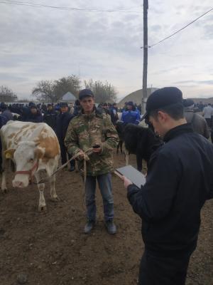 photo2022-11-2214-46-23