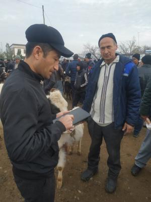 photo2022-11-2214-46-31