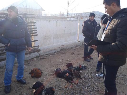 photo2022-12-1610-22-45