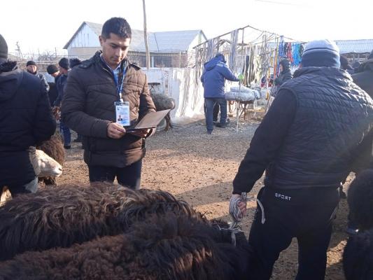 photo2022-12-1610-22-50