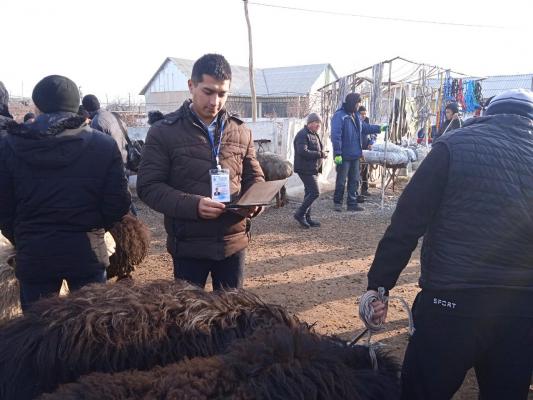 photo2022-12-1610-22-54