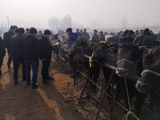 photo2023-01-1914-45-19