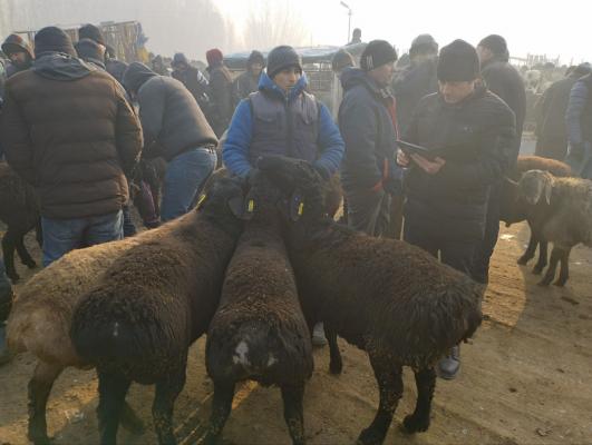 photo2023-01-1914-47-49