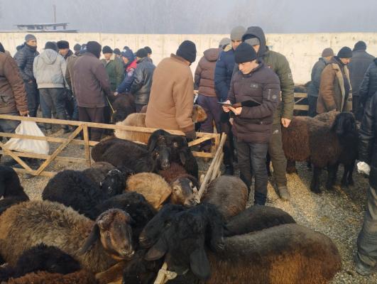 photo2023-01-1914-47-54