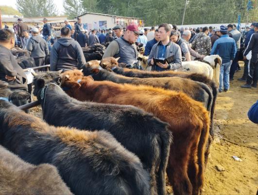 photo2023-03-2917-19-49