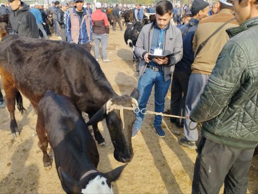 photo2023-03-2917-19-55