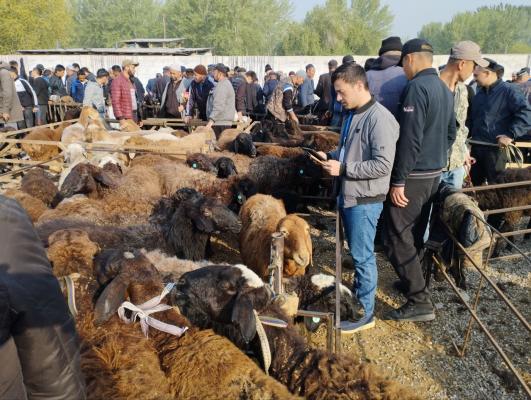 photo2023-03-2917-20-01