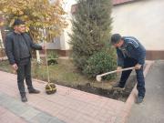 photo2021-11-1208-54-29