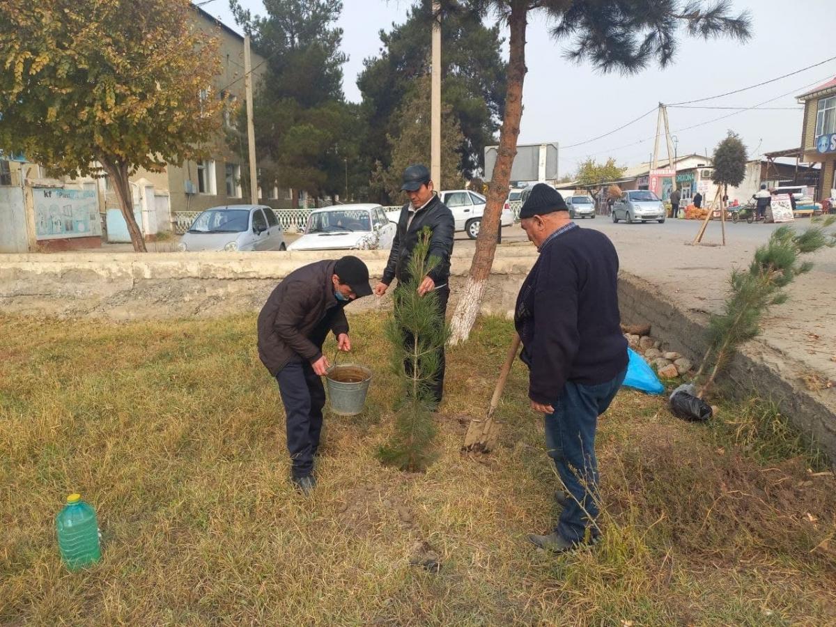 photo2021-11-1717-54-27