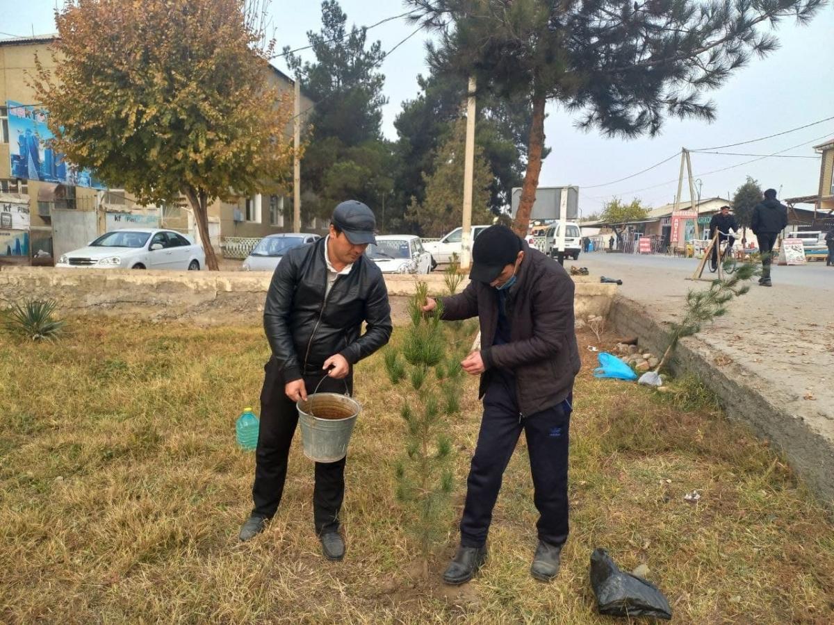 photo2021-11-1717-54-31