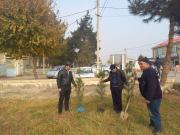 photo2021-11-1717-54-24