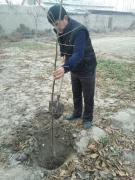 photo2021-11-2509-03-15